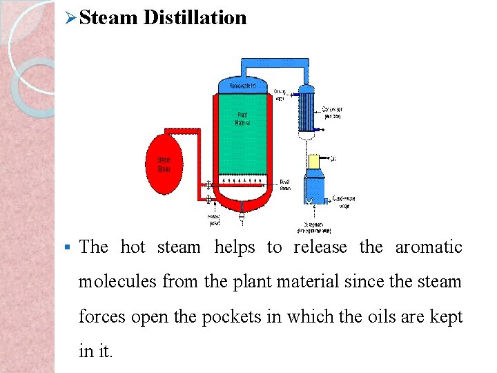 Ø Steam Distillation § The hot steam helps to release the aromatic molecules from