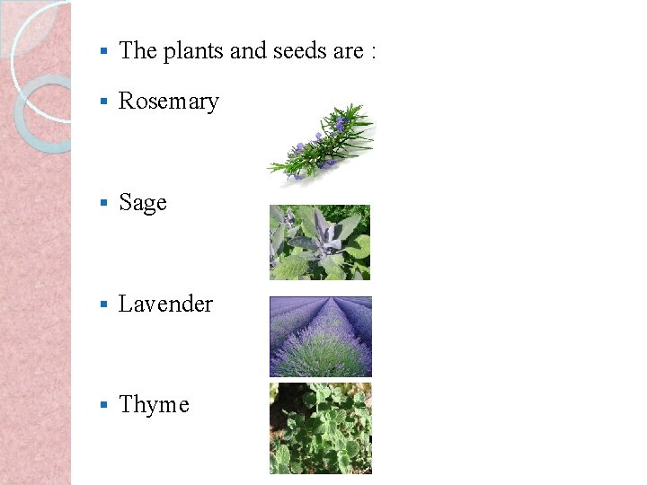 § The plants and seeds are : § Rosemary § Sage § Lavender §