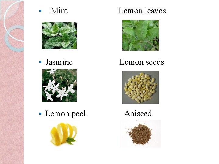 § Mint Lemon leaves § Jasmine Lemon seeds § Lemon peel Aniseed 