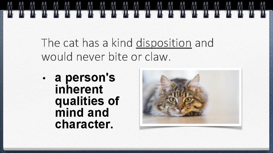 The cat has a kind disposition and would never bite or claw. • a