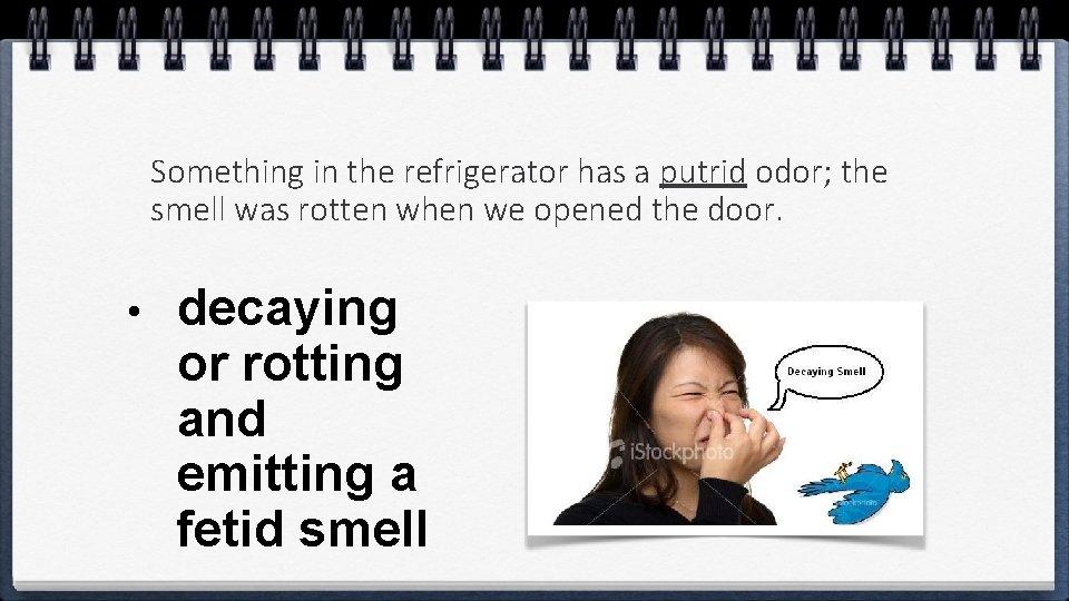 Something in the refrigerator has a putrid odor; the smell was rotten when we