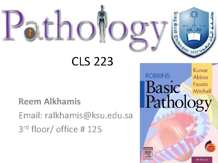 CLS 223 Reem Alkhamis Email: ralkhamis@ksu. edu. sa 3 rd floor/ office # 125