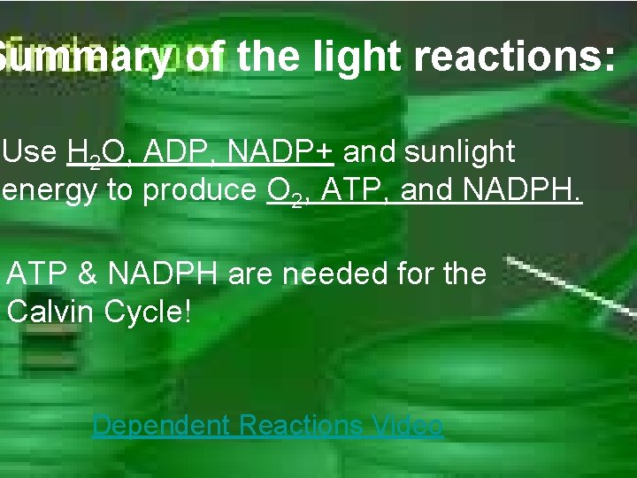 Summary of the light reactions: Use H 2 O, ADP, NADP+ and sunlight energy