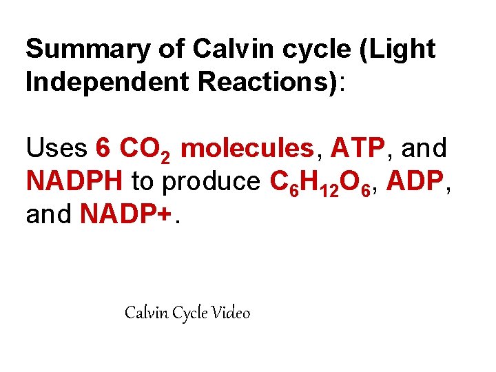 Summary of Calvin cycle (Light Independent Reactions): Uses 6 CO 2 molecules, ATP, and