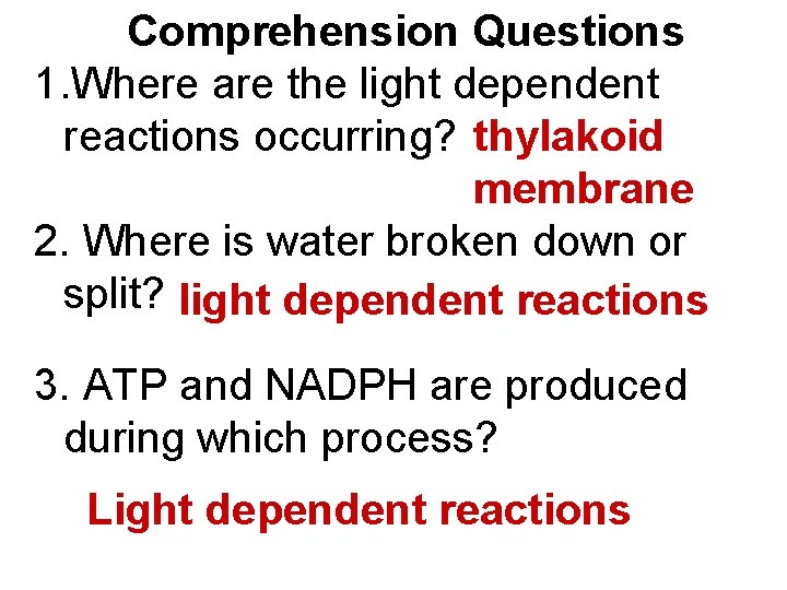 Comprehension Questions 1. Where are the light dependent reactions occurring? thylakoid membrane 2. Where