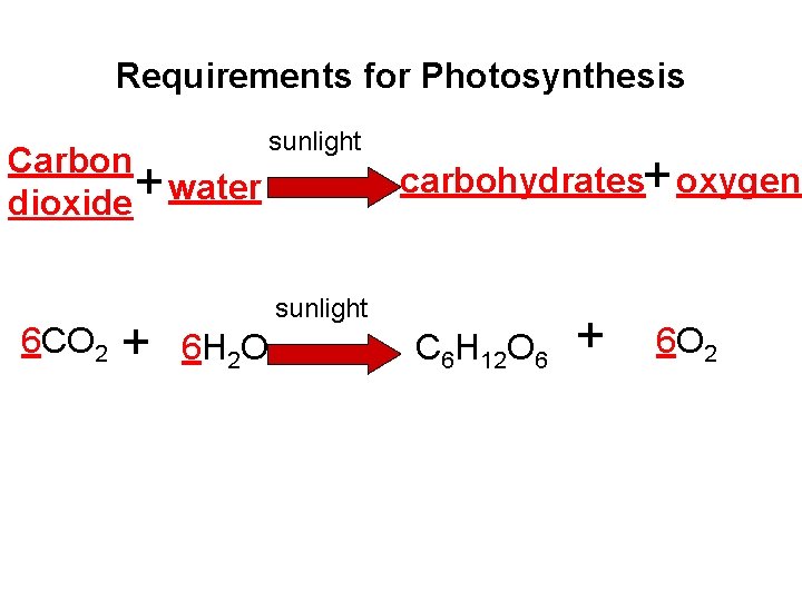 Requirements for Photosynthesis Carbon + water dioxide 6 CO 2 + sunlight carbohydrates+ oxygen