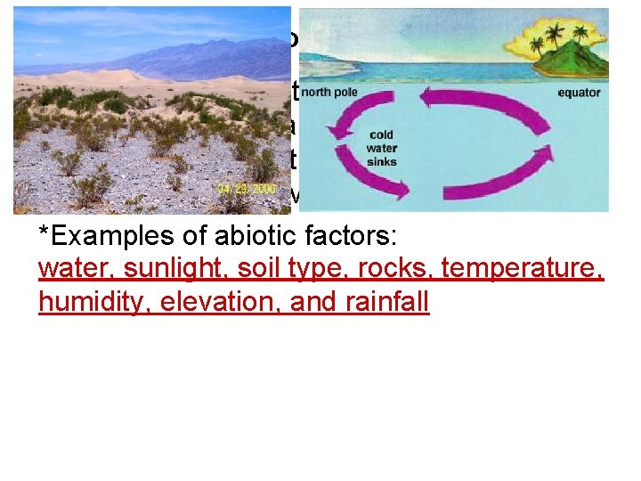 Levels of Organization • Ecosystem: a collection of all of the biotic (living) factors