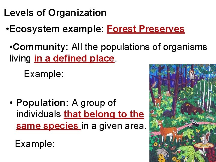 Levels of Organization • Ecosystem example: Forest Preserves • Community: All the populations of