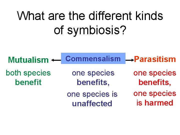What are the different kinds of symbiosis? Mutualism Commensalism Parasitism both species benefit one