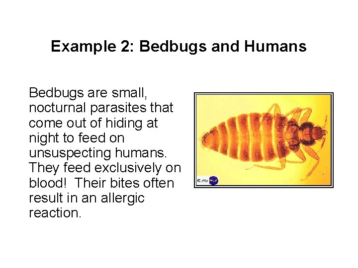 Example 2: Bedbugs and Humans Bedbugs are small, nocturnal parasites that come out of