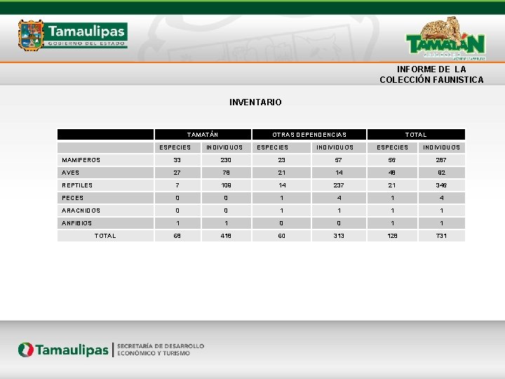 INFORME DE LA COLECCIÓN FAUNISTICA INVENTARIO TAMATÁN ESPECIES OTRAS DEPENDENCIAS INDIVIDUOS ESPECIES INDIVIDUOS TOTAL