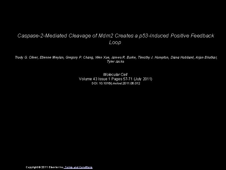 Caspase-2 -Mediated Cleavage of Mdm 2 Creates a p 53 -Induced Positive Feedback Loop