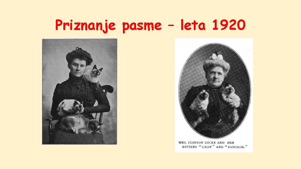 Priznanje pasme – leta 1920 