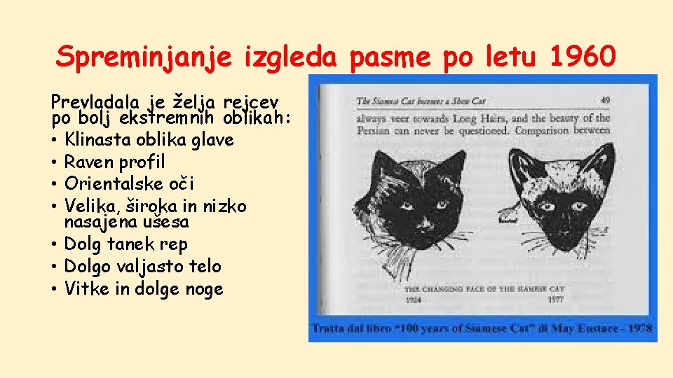 Spreminjanje izgleda pasme po letu 1960 Prevladala je želja rejcev po bolj ekstremnih oblikah: