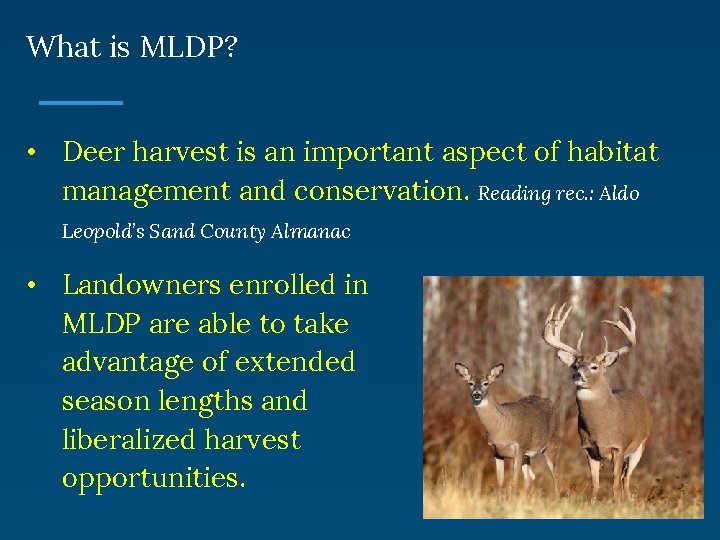 What is MLDP? • Deer harvest is an important aspect of habitat management and