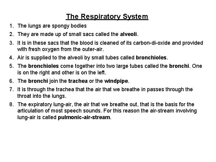 The Respiratory System 1. The lungs are spongy bodies 2. They are made up