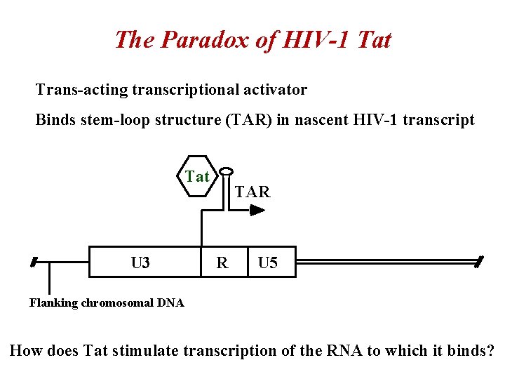 The Paradox of HIV-1 Tat Trans-acting transcriptional activator Binds stem-loop structure (TAR) in nascent