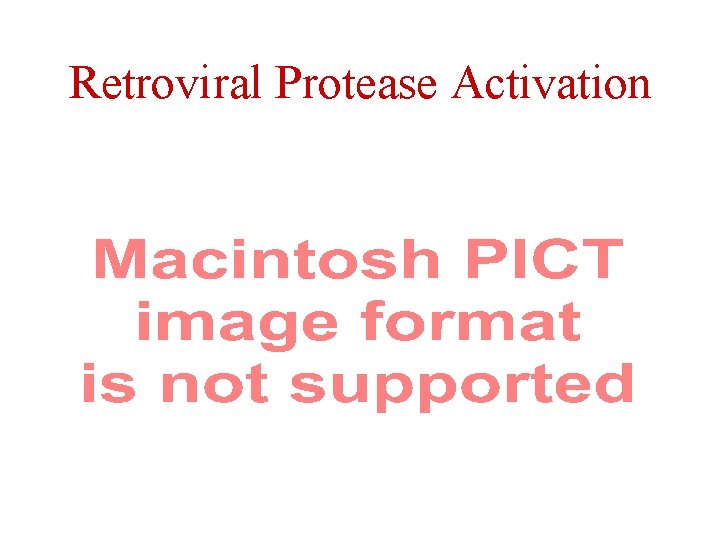 Retroviral Protease Activation 