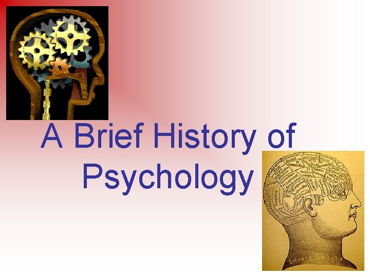 A Brief History of Psychology 