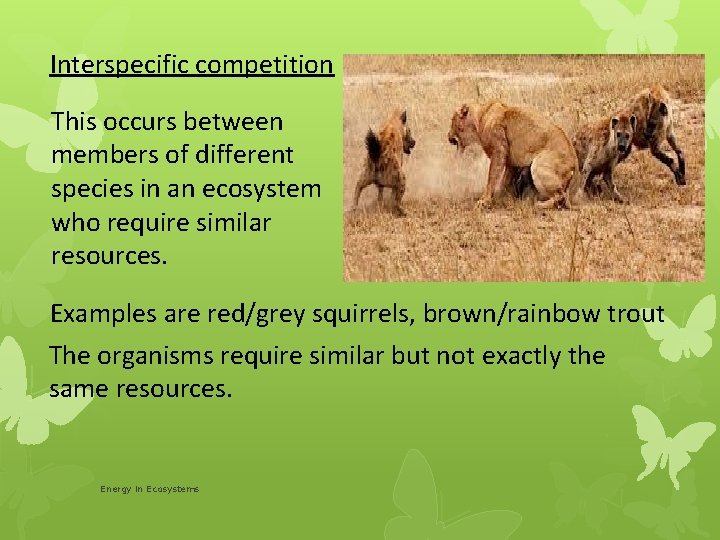 Interspecific competition This occurs between members of different species in an ecosystem who require