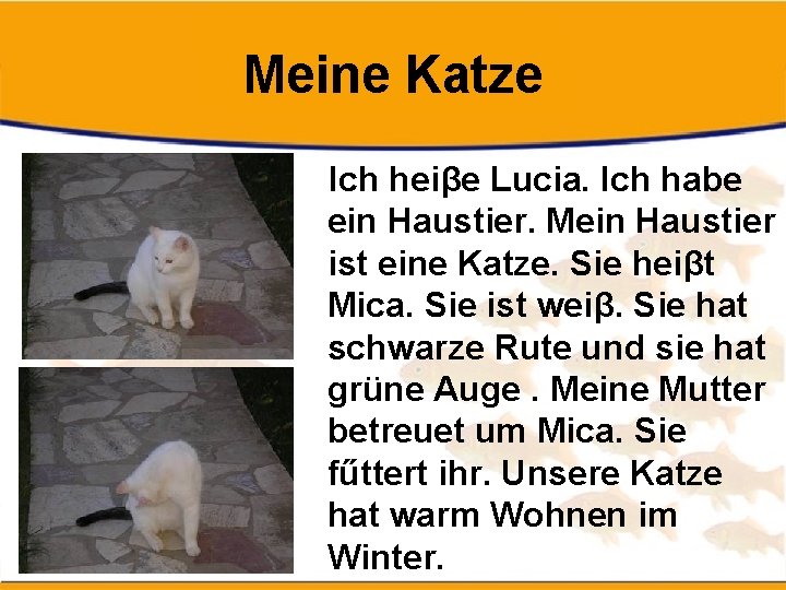 Meine Katze Ich heiβe Lucia. Ich habe ein Haustier. Mein Haustier ist eine Katze.