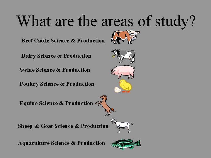 What are the areas of study? Beef Cattle Science & Production Dairy Science &
