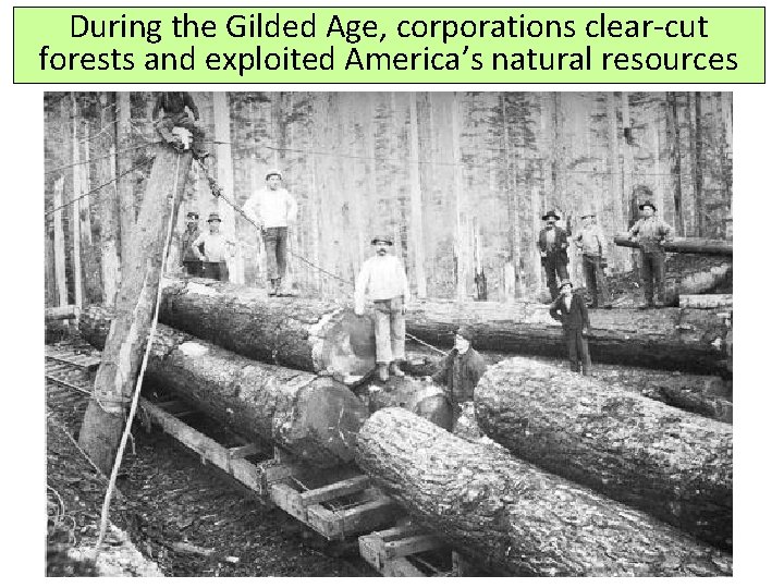 During the Gilded Age, corporations clear-cut forests and exploited America’s natural resources 