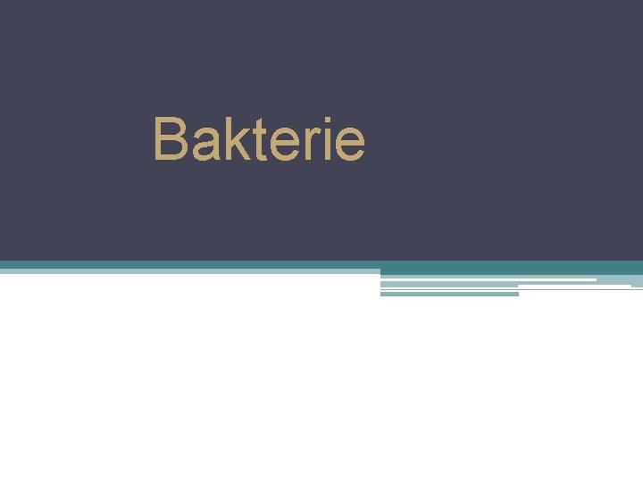 Bakterie 