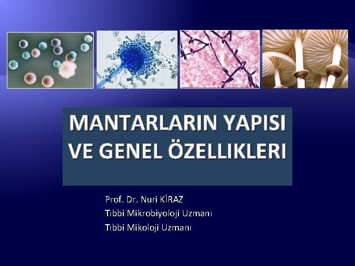 MANTARLARIN YAPISI VE GENEL ÖZELLIKLERI Prof. Dr. Nuri KİRAZ Tıbbi Mikrobiyoloji Uzmanı Tıbbi Mikoloji