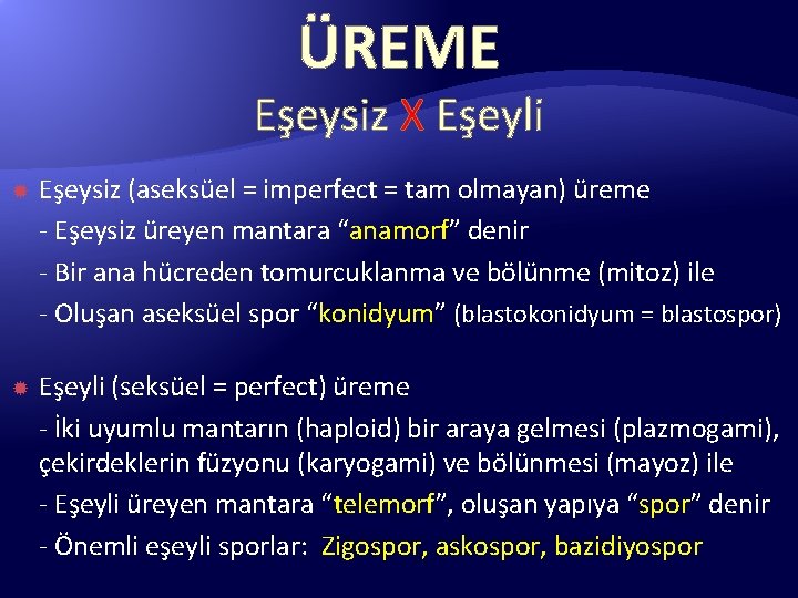 ÜREME Eşeysiz X Eşeyli Eşeysiz (aseksüel = imperfect = tam olmayan) üreme - Eşeysiz