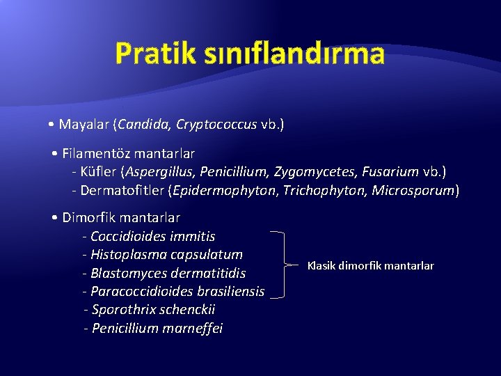 Pratik sınıflandırma • Mayalar (Candida, Cryptococcus vb. ) • Filamentöz mantarlar - Küfler (Aspergillus,