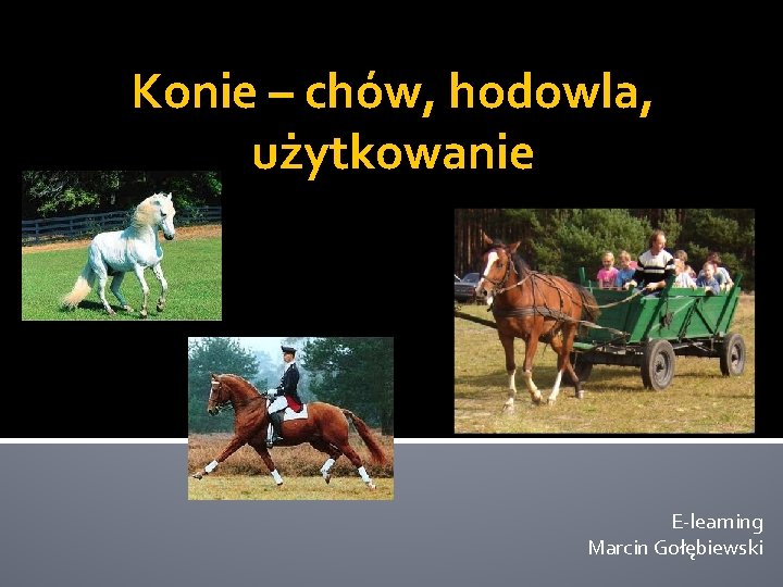 Konie – chów, hodowla, użytkowanie E-learning Marcin Gołębiewski 