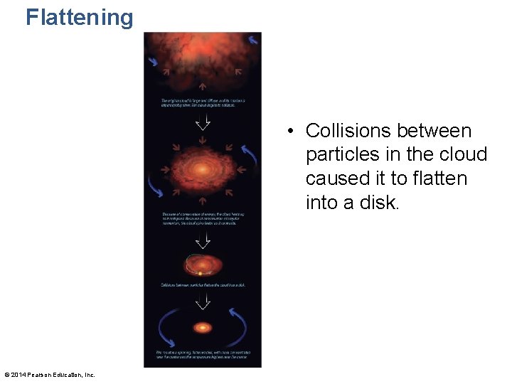 Flattening • Collisions between particles in the cloud caused it to flatten into a