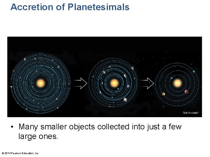 Accretion of Planetesimals • Many smaller objects collected into just a few large ones.