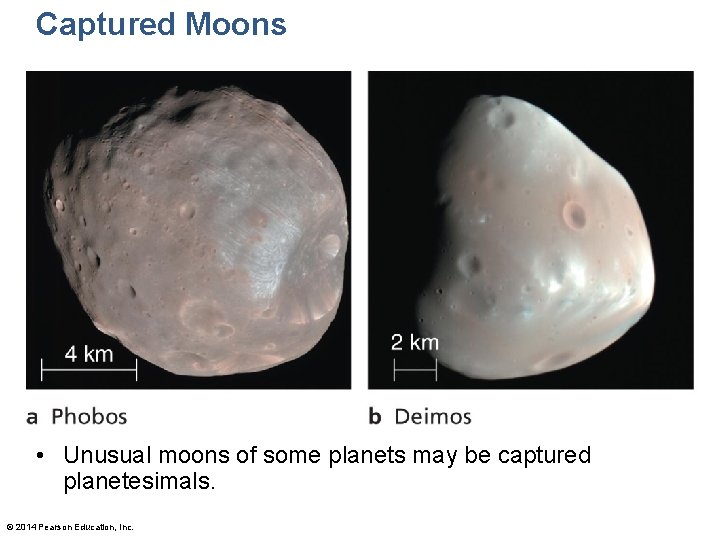 Captured Moons • Unusual moons of some planets may be captured planetesimals. © 2014