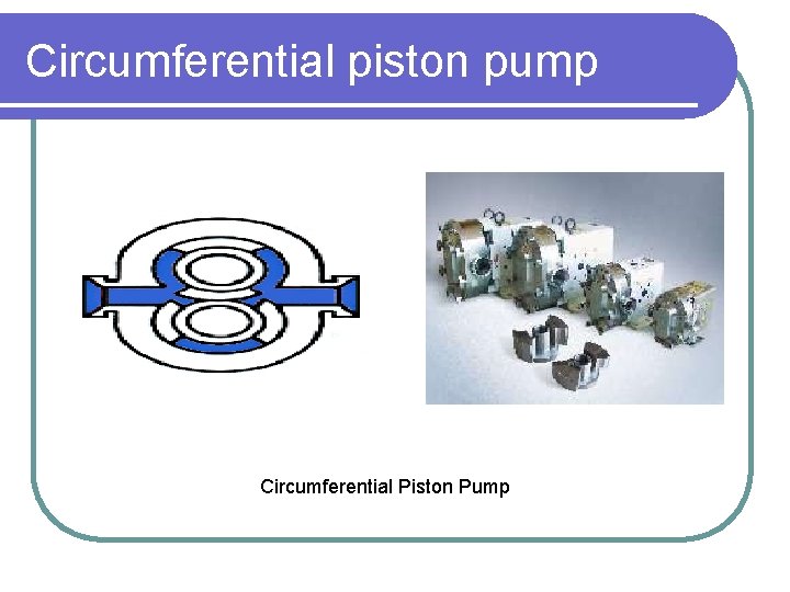 Circumferential piston pump Circumferential Piston Pump 