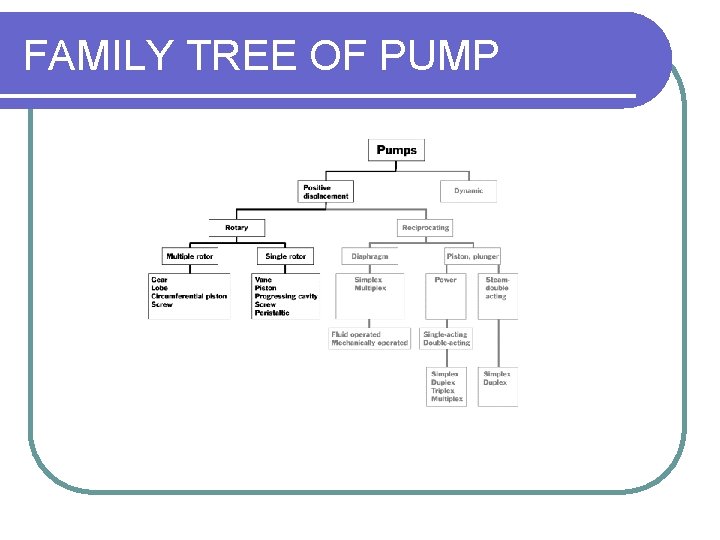 FAMILY TREE OF PUMP 