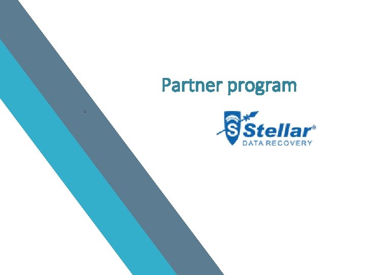 Partner program 