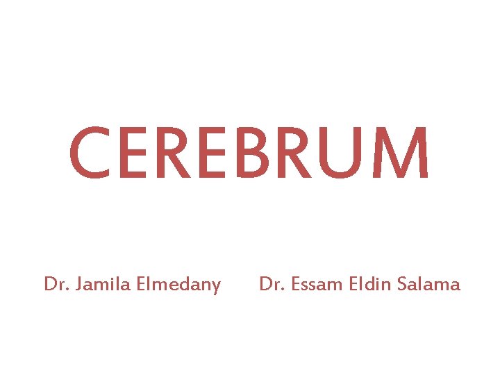 CEREBRUM Dr. Jamila Elmedany Dr. Essam Eldin Salama 