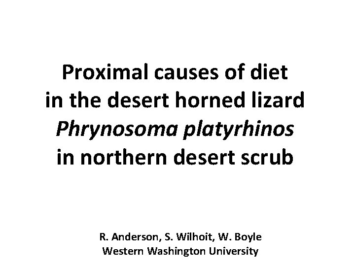 Proximal causes of diet in the desert horned lizard Phrynosoma platyrhinos in northern desert