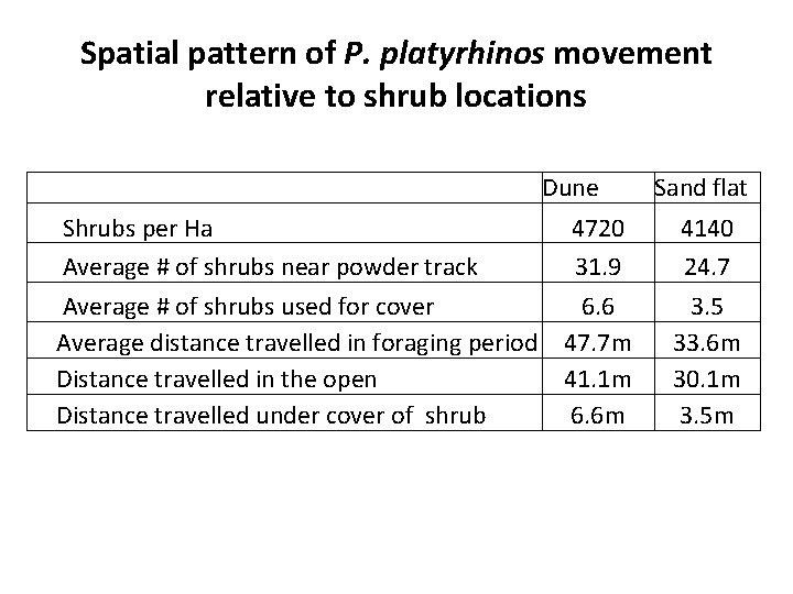 Spatial pattern of P. platyrhinos movement relative to shrub locations Shrubs per Ha Average