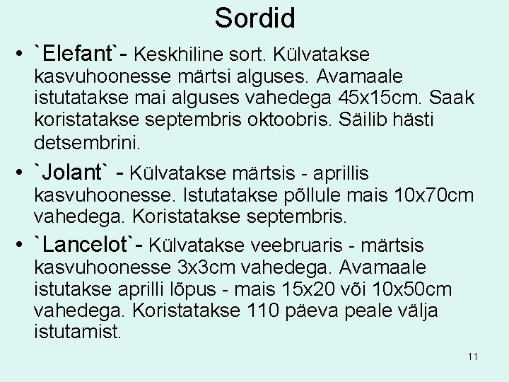 Sordid • `Elefant`- Keskhiline sort. Külvatakse kasvuhoonesse märtsi alguses. Avamaale istutatakse mai alguses vahedega