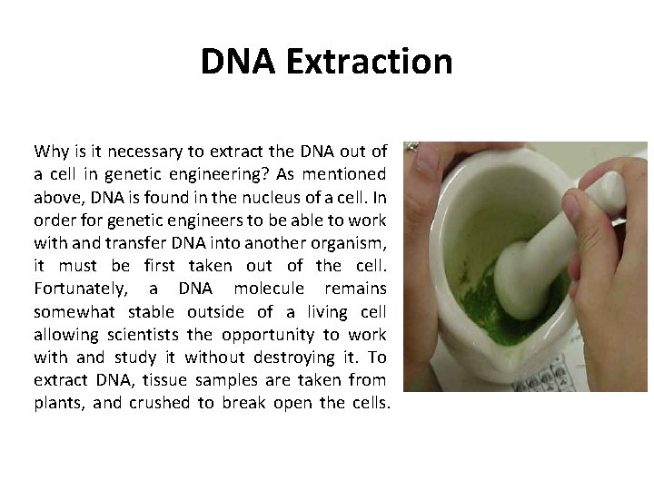 DNA Extraction Why is it necessary to extract the DNA out of a cell