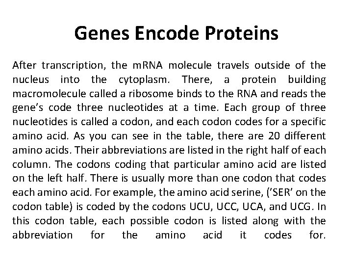 Genes Encode Proteins After transcription, the m. RNA molecule travels outside of the nucleus
