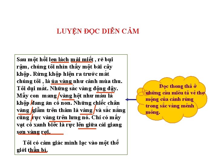 LUYỆN ĐỌC DIỄN CẢM Sau một hồi len lách mải miết , rẽ bụi