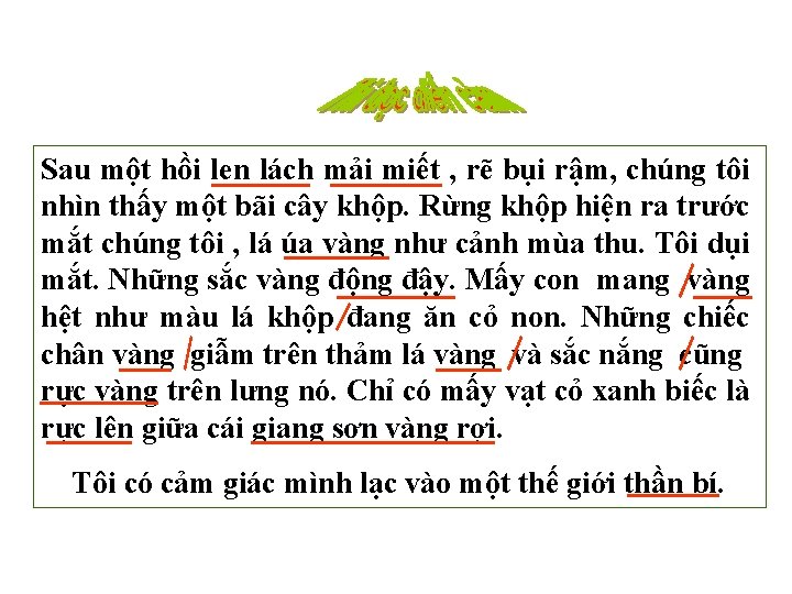 Sau một hồi len lách mải miết , rẽ bụi rậm, chúng tôi nhìn