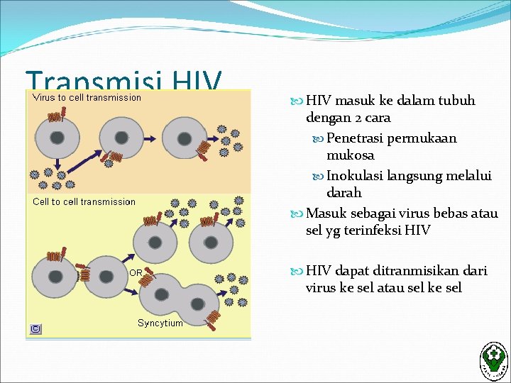 Transmisi HIV masuk ke dalam tubuh dengan 2 cara Penetrasi permukaan mukosa Inokulasi langsung