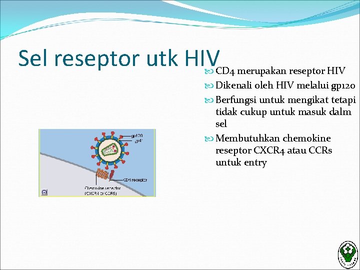 Sel reseptor utk HIV CD 4 merupakan reseptor HIV Dikenali oleh HIV melalui gp