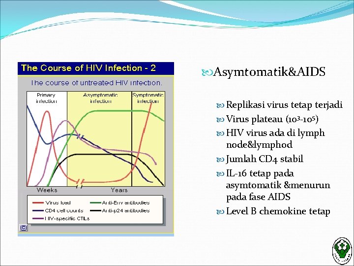  Asymtomatik&AIDS Replikasi virus tetap terjadi Virus plateau (103 -105) HIV virus ada di