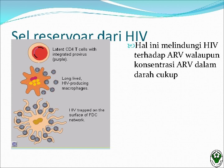 Sel reservoar dari HIV Hal ini melindungi HIV terhadap ARV walaupun konsentrasi ARV dalam